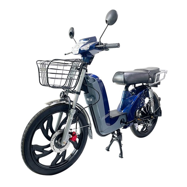Factory direct sale of Yuying head, Bailingwang CG pedal, sports seat, LED taillight electric bike.